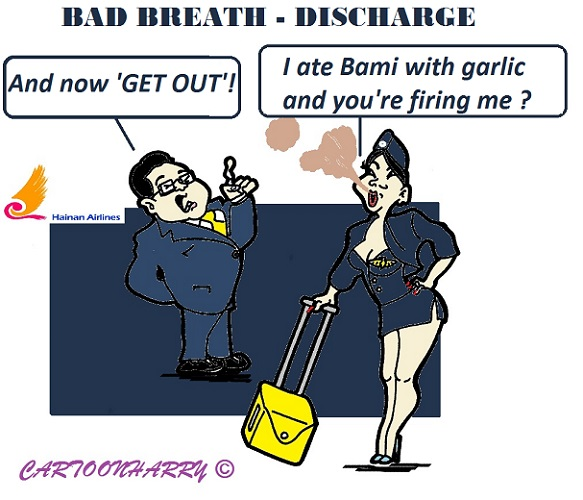 Cartoon: Hainan Airlines 1