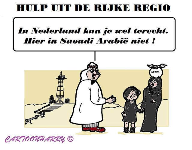 Cartoon: Rijke Regio 1