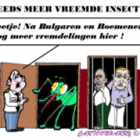 Vreemde Insecten