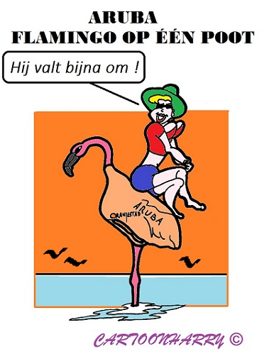Cartoon: Alleen Toerisme 1