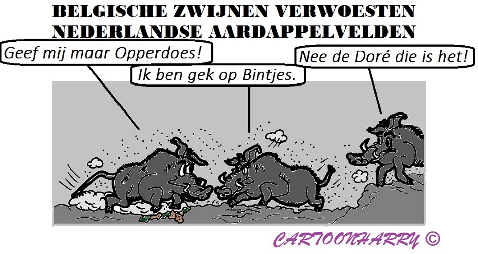 Cartoon: Zwijnerij 1