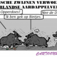 Zwijnerij