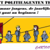 Jaarlijkse FiTTest