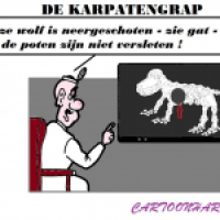 Karpaten Wolf