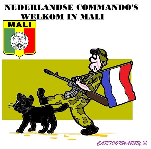 Cartoon: Mali 1