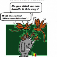Minusma-Mission