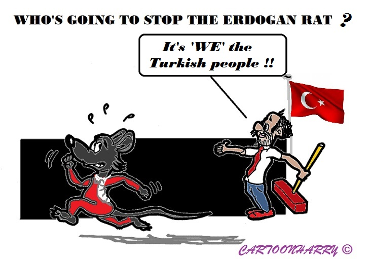 Cartoon: Erdogan Rat 1
