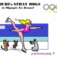 Stray Dogs in Russia/Sochi