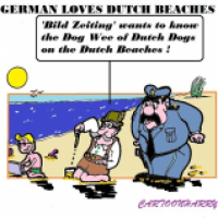Dutch Beaches