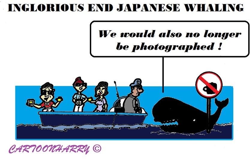 Cartoon: Japanese Whaling End 1