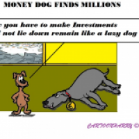 Money Dog