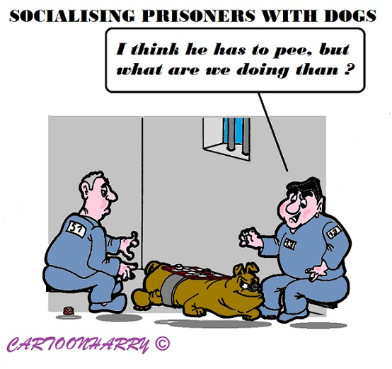 Cartoon: Prisoner Socialising 1