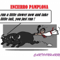 'Pamplona 2014'