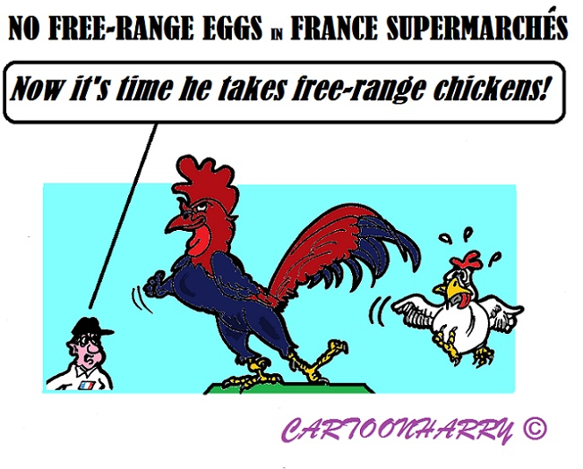 Cartoon: Banned in France 1