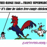 Banned in France