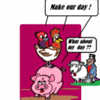 World Animal Day 2014