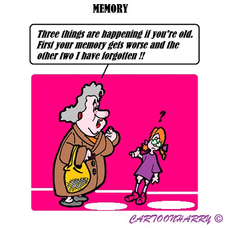 Cartoon: Memory 1