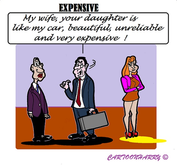 Cartoon: I love my Car 1