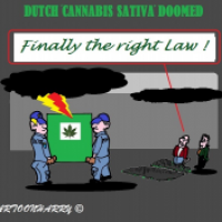 Dutch Attack Cannabis Grow Shops