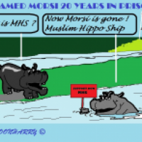Muslim Hippoship