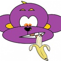 PurpMonk