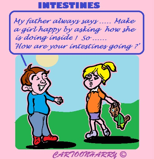 Cartoon: Intestines 1