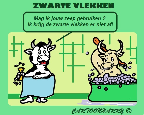 Cartoon: Sauber Machen 1