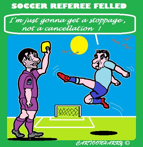 Cartoon: Soccer Today 1