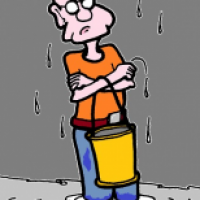 To Much Rain