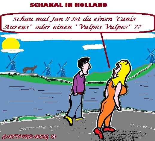 Cartoon: Endlich 1