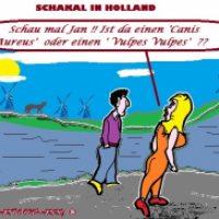 Endlich