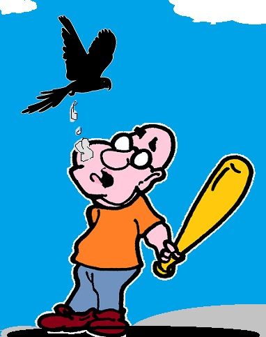 Comic: Vogelscheiss 1