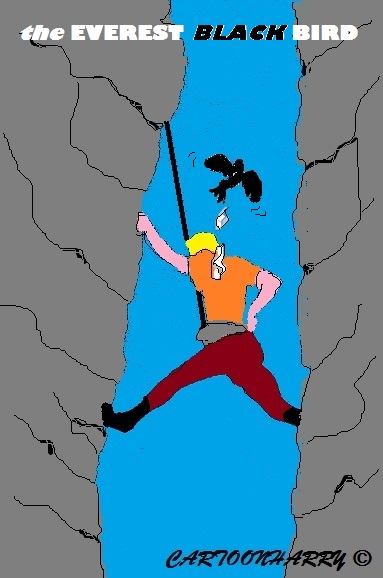 Cartoon: MtEverest Problems 1