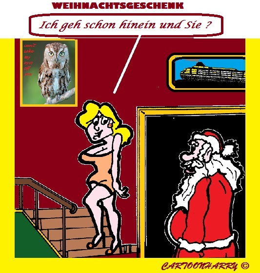 Cartoon: Weihnachts Geschenk 1