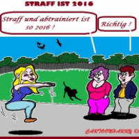So 2016