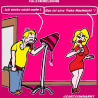 Falschmeldung
