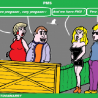 PMS