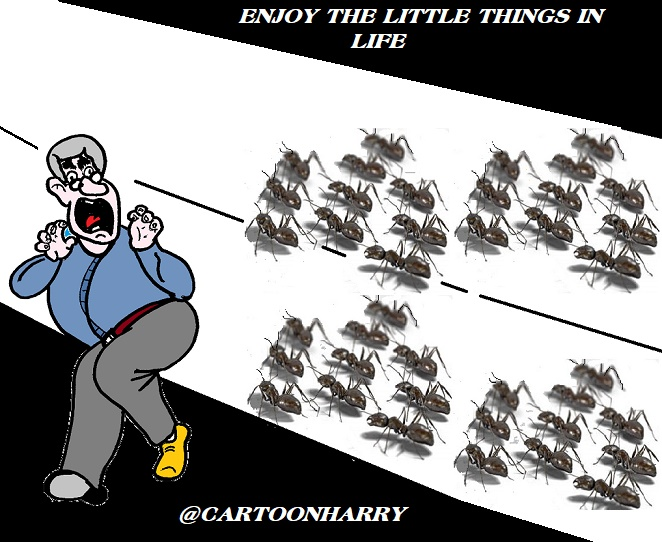 Cartoon: Enjoy 1