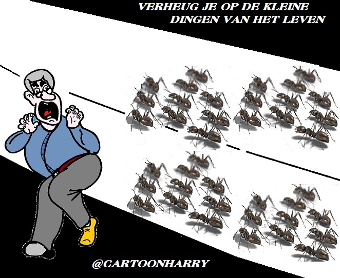 Cartoon: Verheug 1