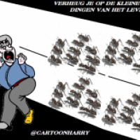 Verheug