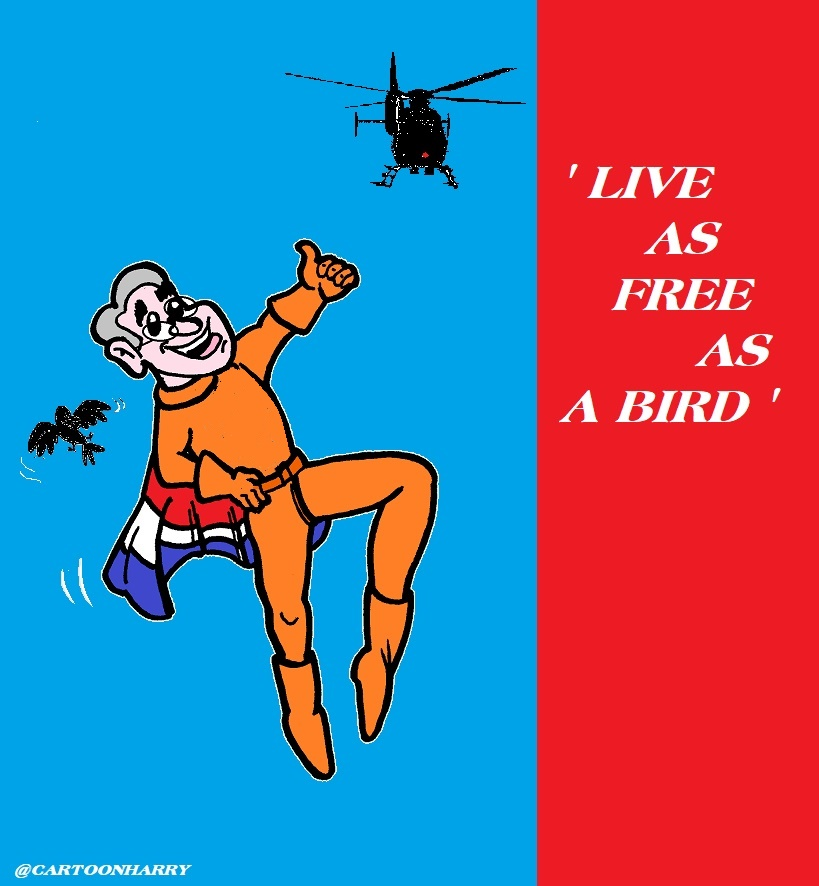 Cartoon: Bird Wise 1