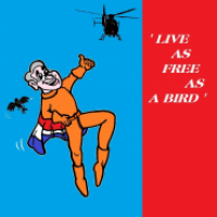 Bird Wise