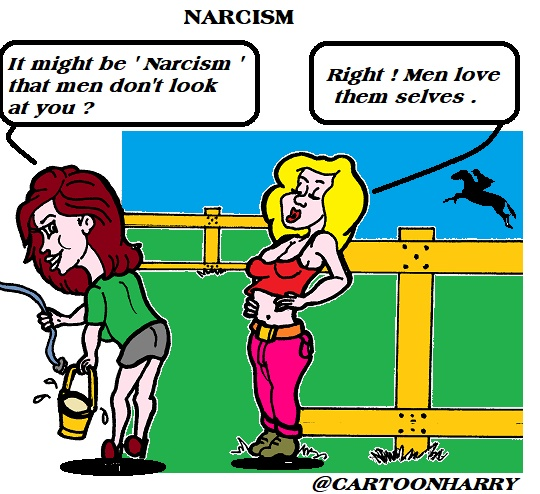 Cartoon: Narcism 1
