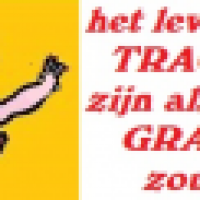 Het Leven Zou