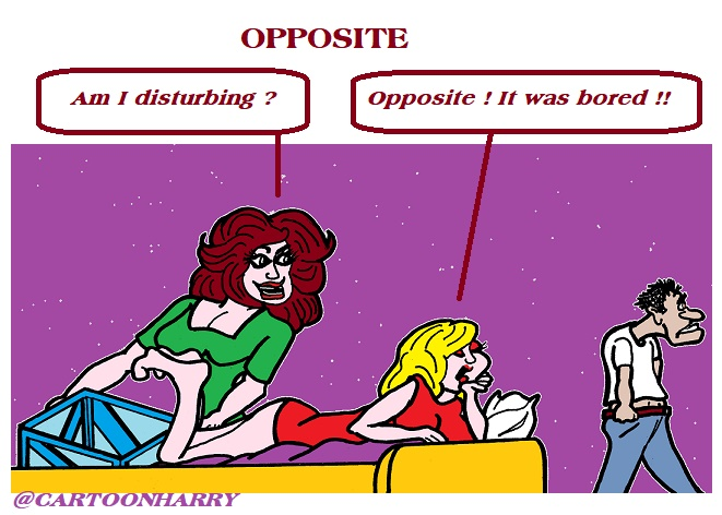 Cartoon: Opposite 1