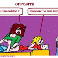 Opposite