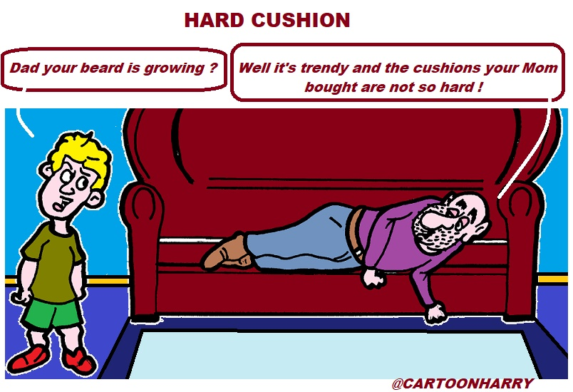 Cartoon: Hard Cushion 1