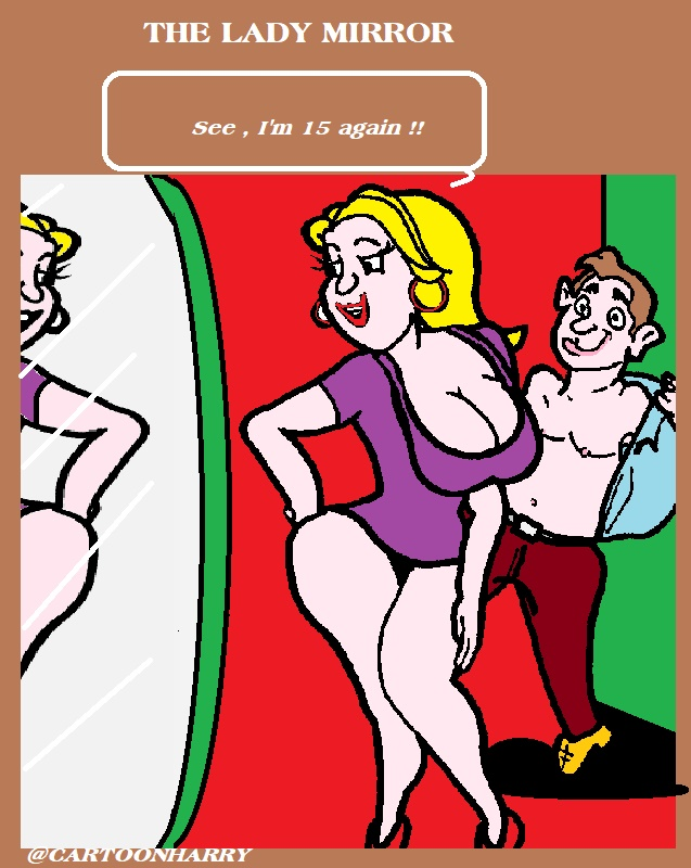 Cartoon: The Ladies Mirror 1