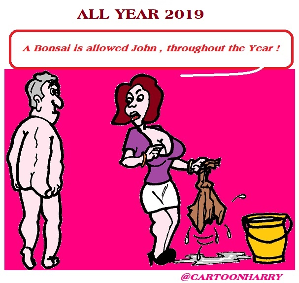 Cartoon: All Year 2019 1