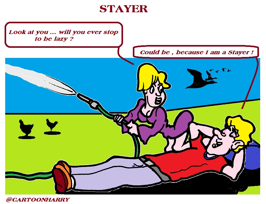 Cartoon: Stayer 1